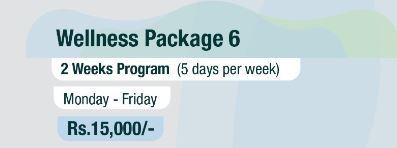 Individual Therapy - (Wellness Package 6)